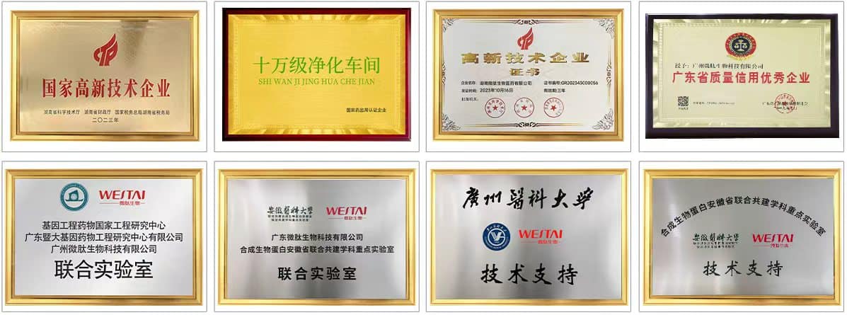 国家高新技术企业等荣誉资质