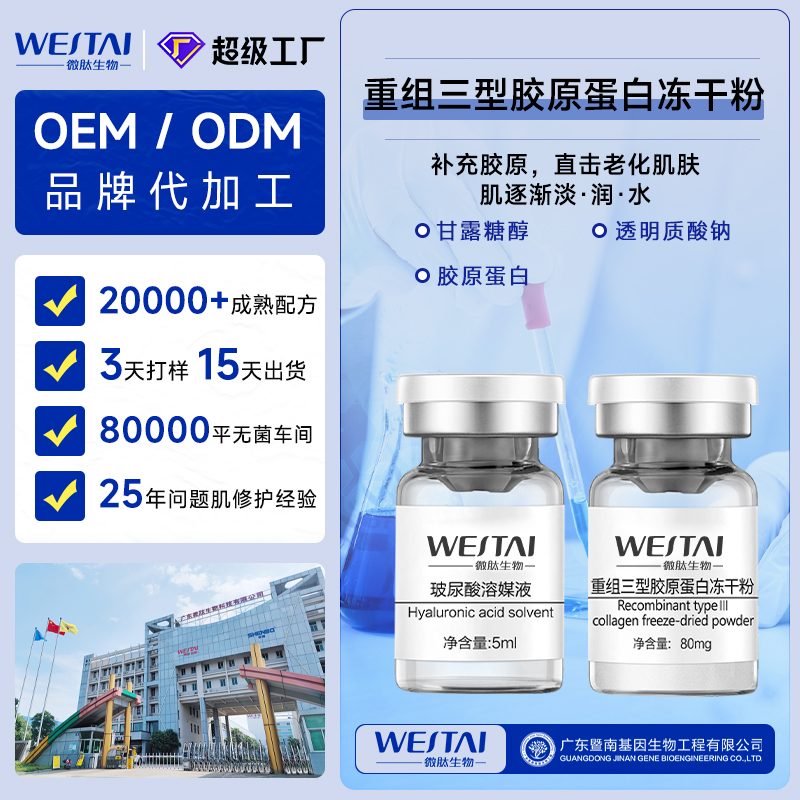 重组三型胶原蛋白冻干粉