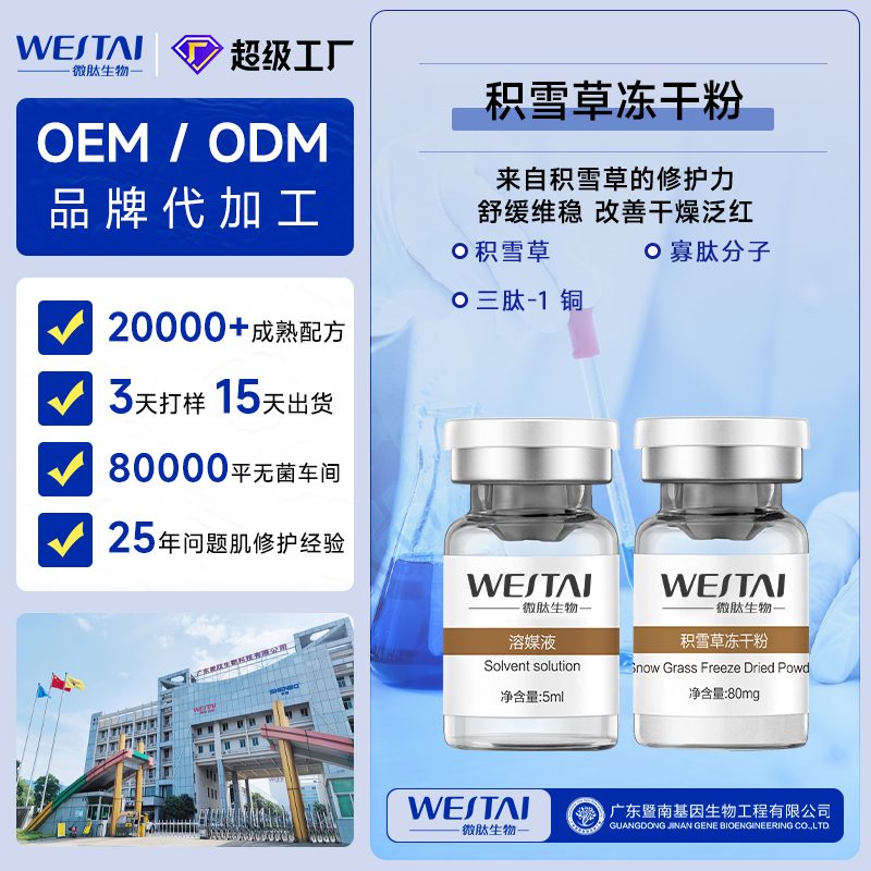 积雪草冻干粉